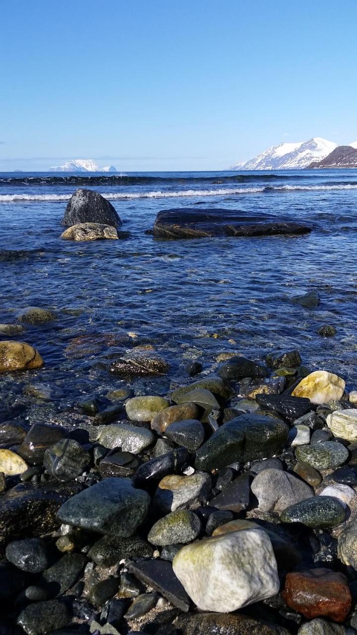 Lyngen Fjordcamp Villa Nord-Lenangen Eksteriør bilde